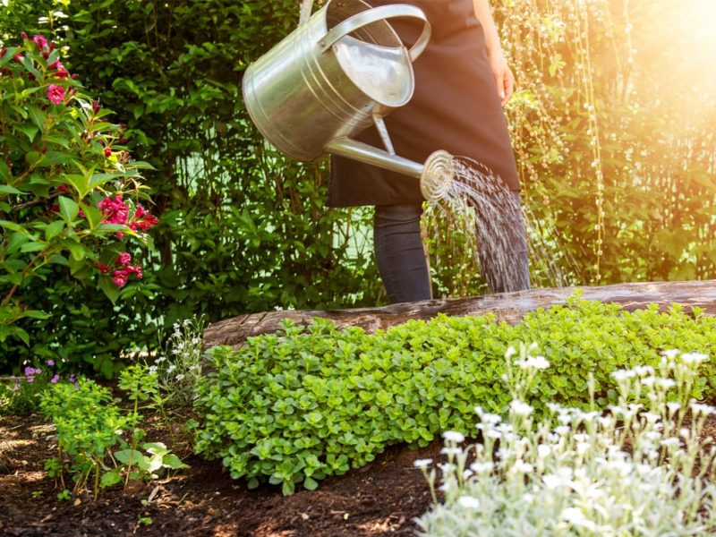 Jardinería en Cantabria